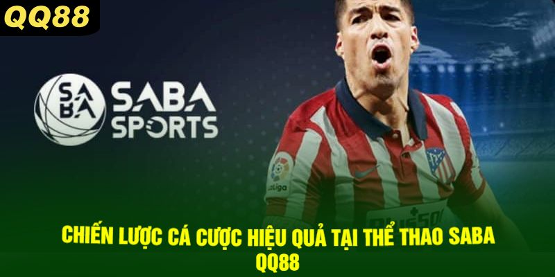Chiến Lược Cá Cược Hiệu Quả Tại Thể Thao SABA QQ88