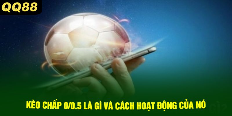 Kèo chấp 0/0.5 là gì và cách hoạt động của nó