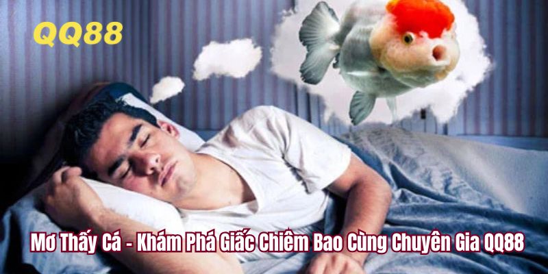 Mơ Thấy Cá - Khám Phá Giấc Chiêm Bao Cùng Chuyên Gia QQ88