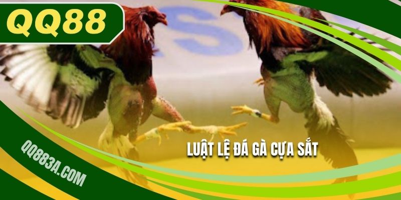 Luật chơi đá gà cựa sắt dễ dàng